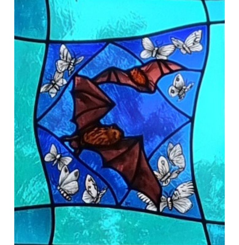 Bat pane in annexe window