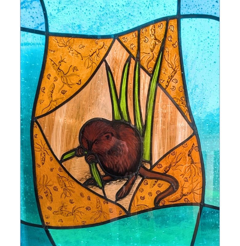 Water vole pane in annexe window