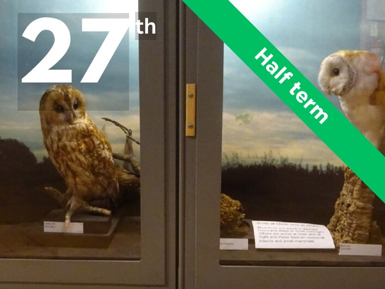 Birds in the Museum