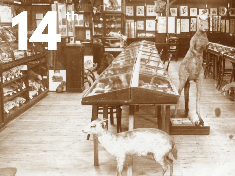 historic display of collection