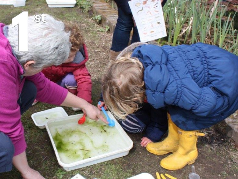 child inspecting pond water