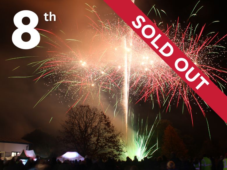 Fireworks in Museum gardens