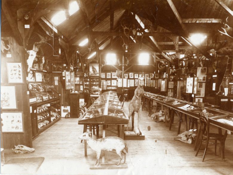 A view of a historical exhibition