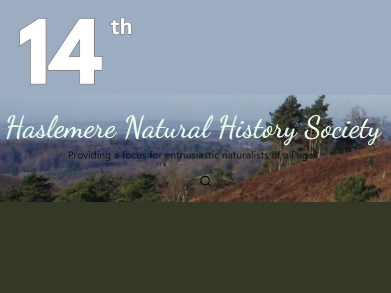 Hill view from HNHS website