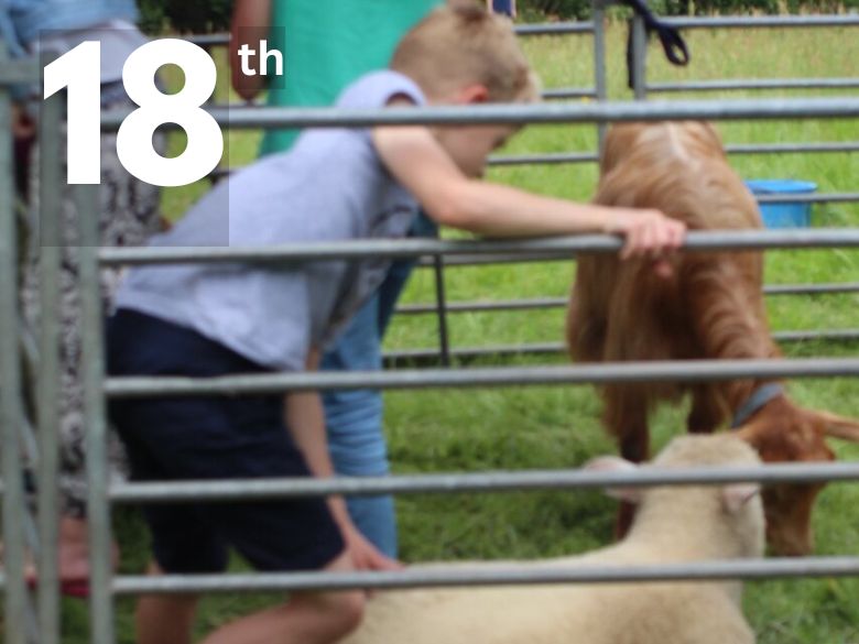A child pets farm animals