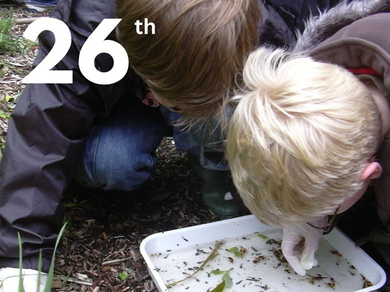 children inspecting pond water