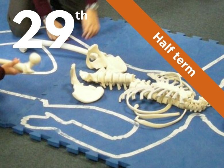 Children with a model skeleton