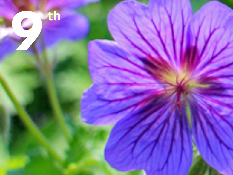 paintbrush and canvas